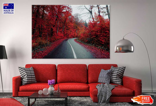 Red Autumn Trees & Road View Photograph Print 100% Australian Made