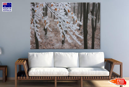 Snow Covered Tree Branch Closeup Photograph Print 100% Australian Made