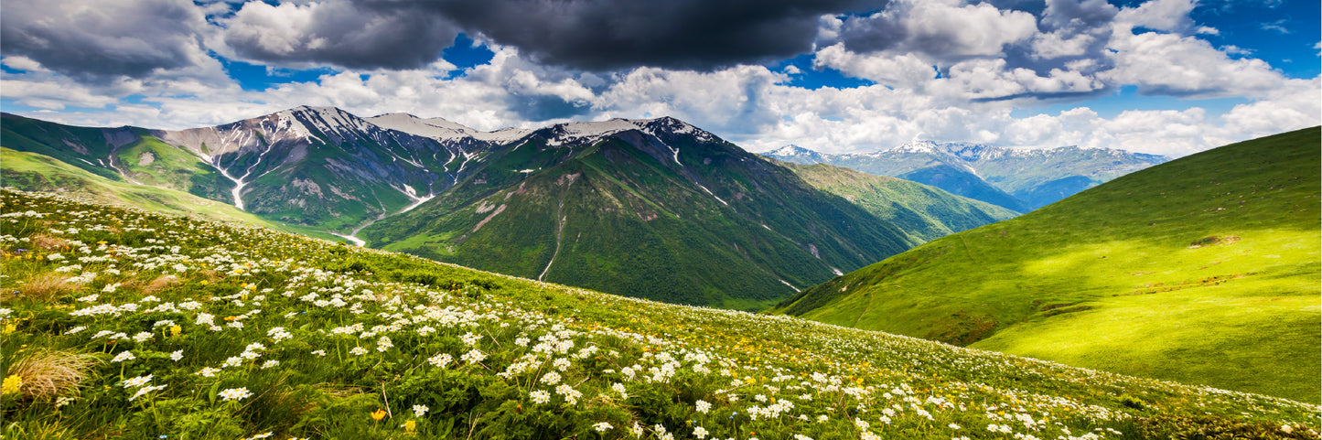 Panoramic Canvas Alpine Meadows View Photograph High Quality 100% Australian Made Wall Canvas Print Ready to Hang