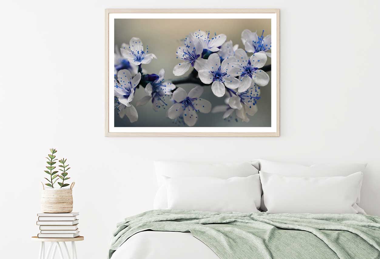 Little Blue White Flowers View Photograph Home Decor Premium Quality Poster Print Choose Your Sizes