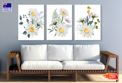 3 Set of Daisy Flower Plant Art High Quality print 100% Australian made wall Canvas ready to hang