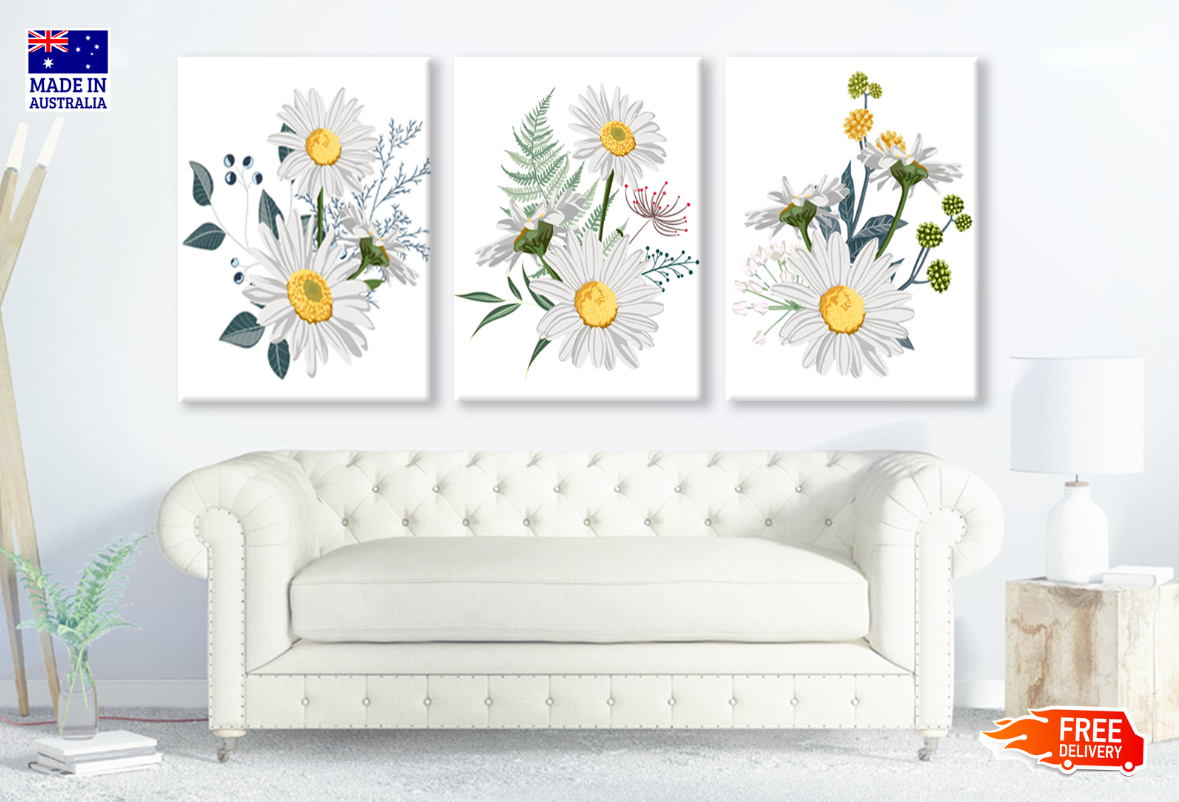 3 Set of Daisy Flower Plant Art High Quality print 100% Australian made wall Canvas ready to hang