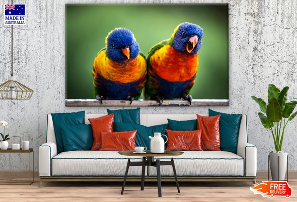 Australian Native Blue Green Yellow Parrots Photograph Print 100% Australian Made
