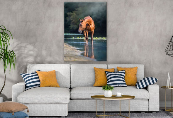 Brown Horse Standing on Water Print 100% Australian Made