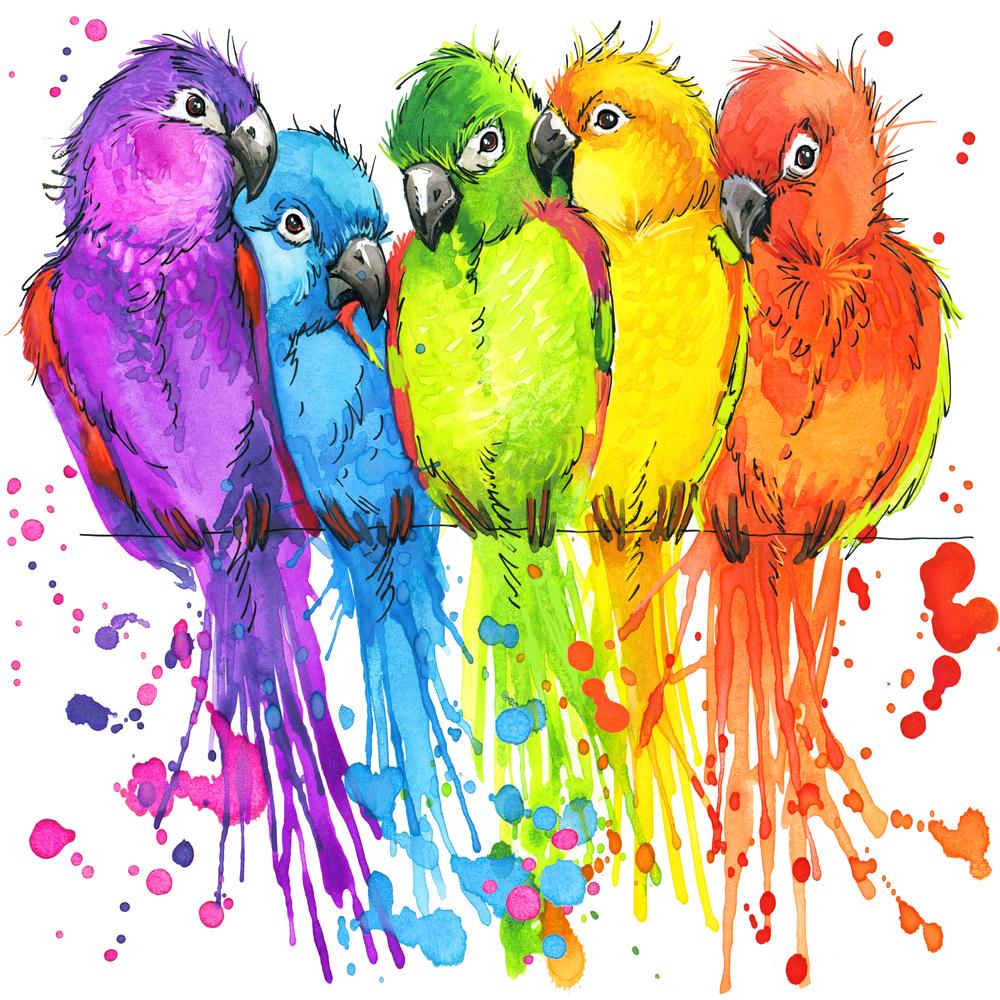 Colorful Birds Painting Print 100% Australian Made