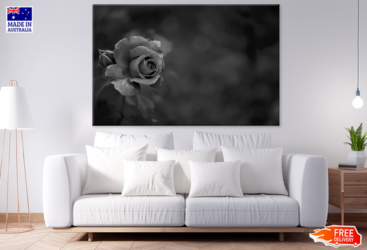 B&W Rose Flower Closeup Photograph Print 100% Australian Made