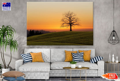 Silhouette of Tree Branches Photograph Print 100% Australian Made