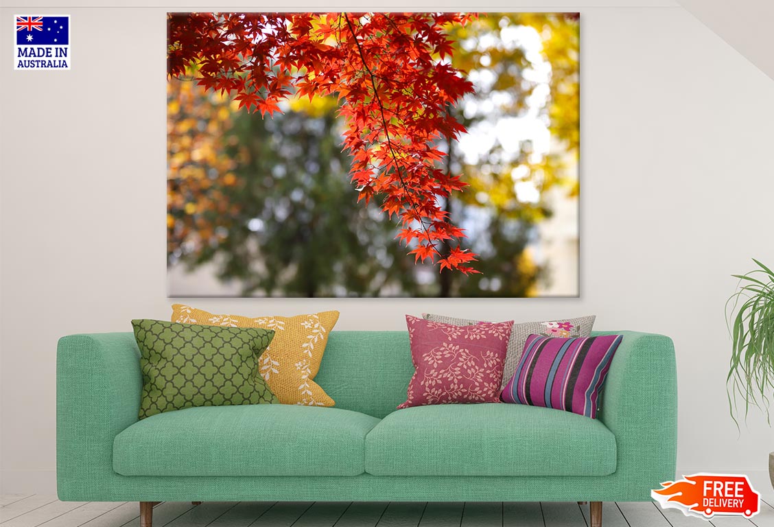 Red Autumn Leaves Closeup Photograph Print 100% Australian Made