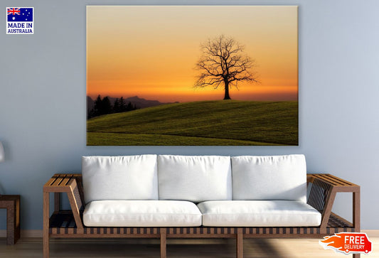 Silhouette of Tree Branches Photograph Print 100% Australian Made