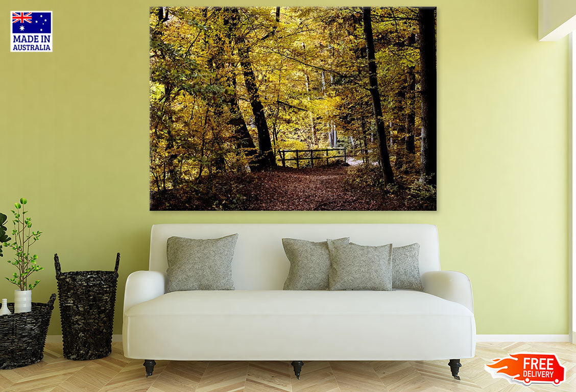 Bridge in Autumn Tree Forest Photograph Print 100% Australian Made