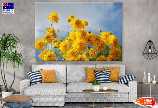 Yellow Chrysanthemum Flowers Photograph Print 100% Australian Made