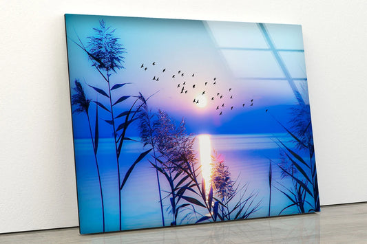 Plants Near Lake Sunset Photograph Acrylic Glass Print Tempered Glass Wall Art 100% Made in Australia Ready to Hang