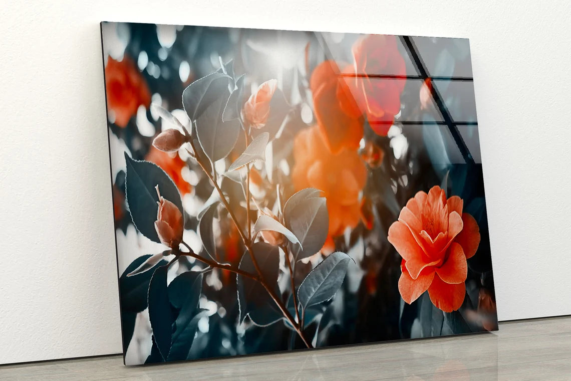 Red Flowers Tree Bush Photograph Acrylic Glass Print Tempered Glass Wall Art 100% Made in Australia Ready to Hang