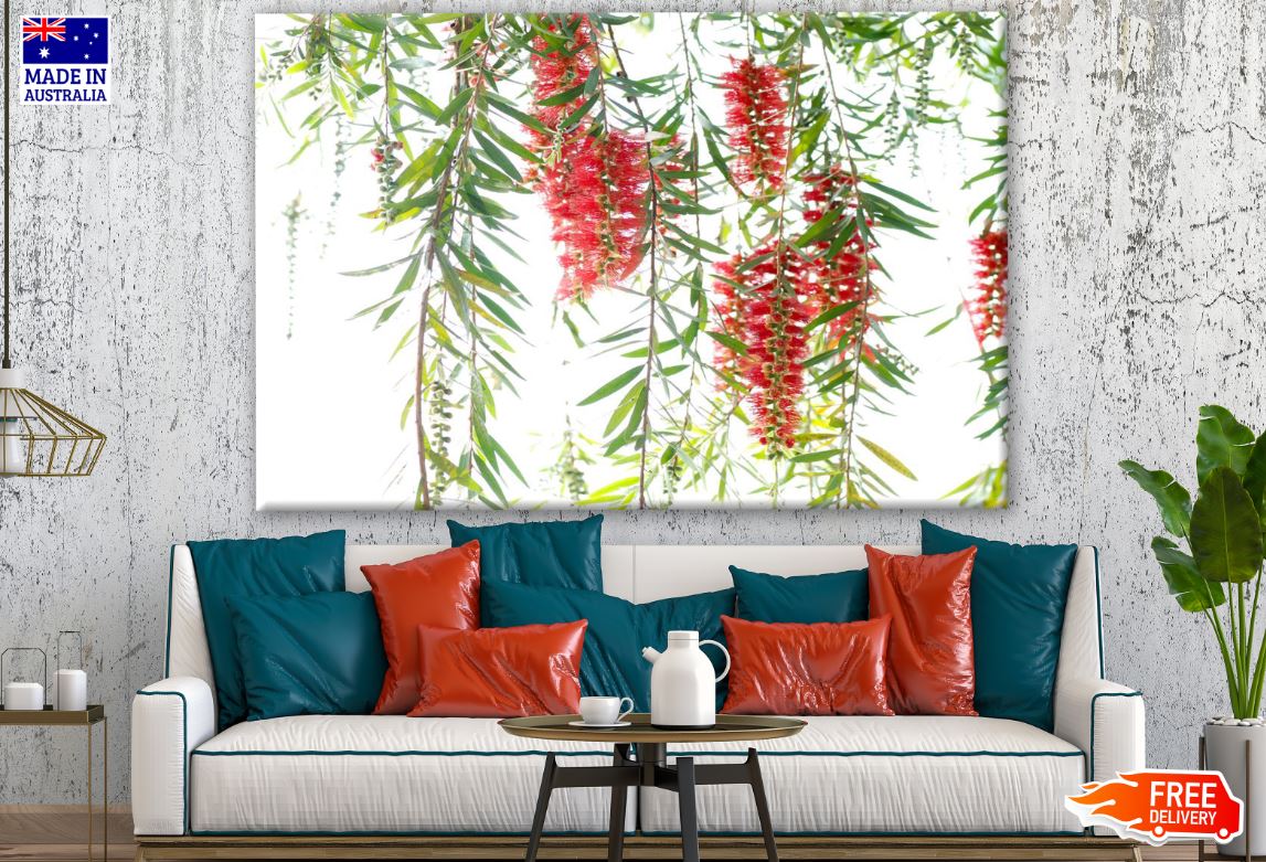 Red Bottle Brush Flower Tree Painting Print 100% Australian Made