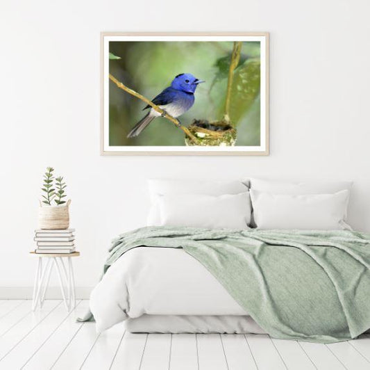 Blue Bird on a Tree Photograph Home Decor Premium Quality Poster Print Choose Your Sizes