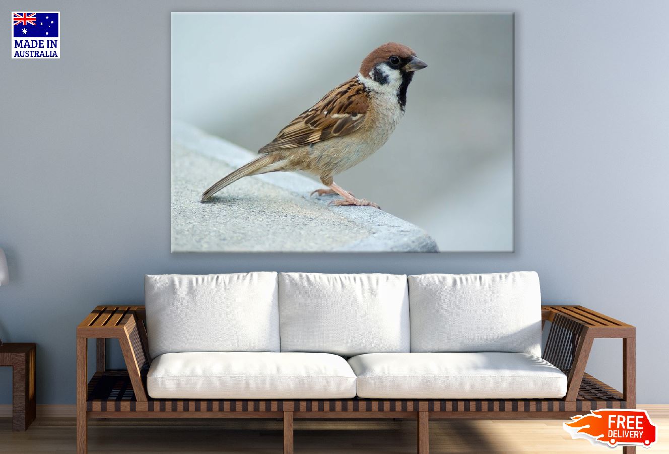 Sparrow Bird Closeup Photograph Print 100% Australian Made