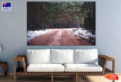 Road & Snow Covered Forest Photograph Print 100% Australian Made