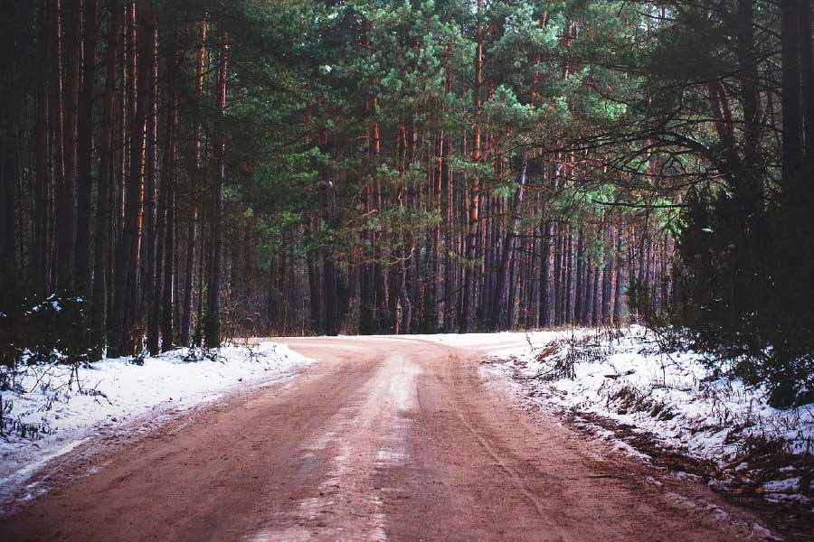 Road & Snow Covered Forest Photograph Print 100% Australian Made