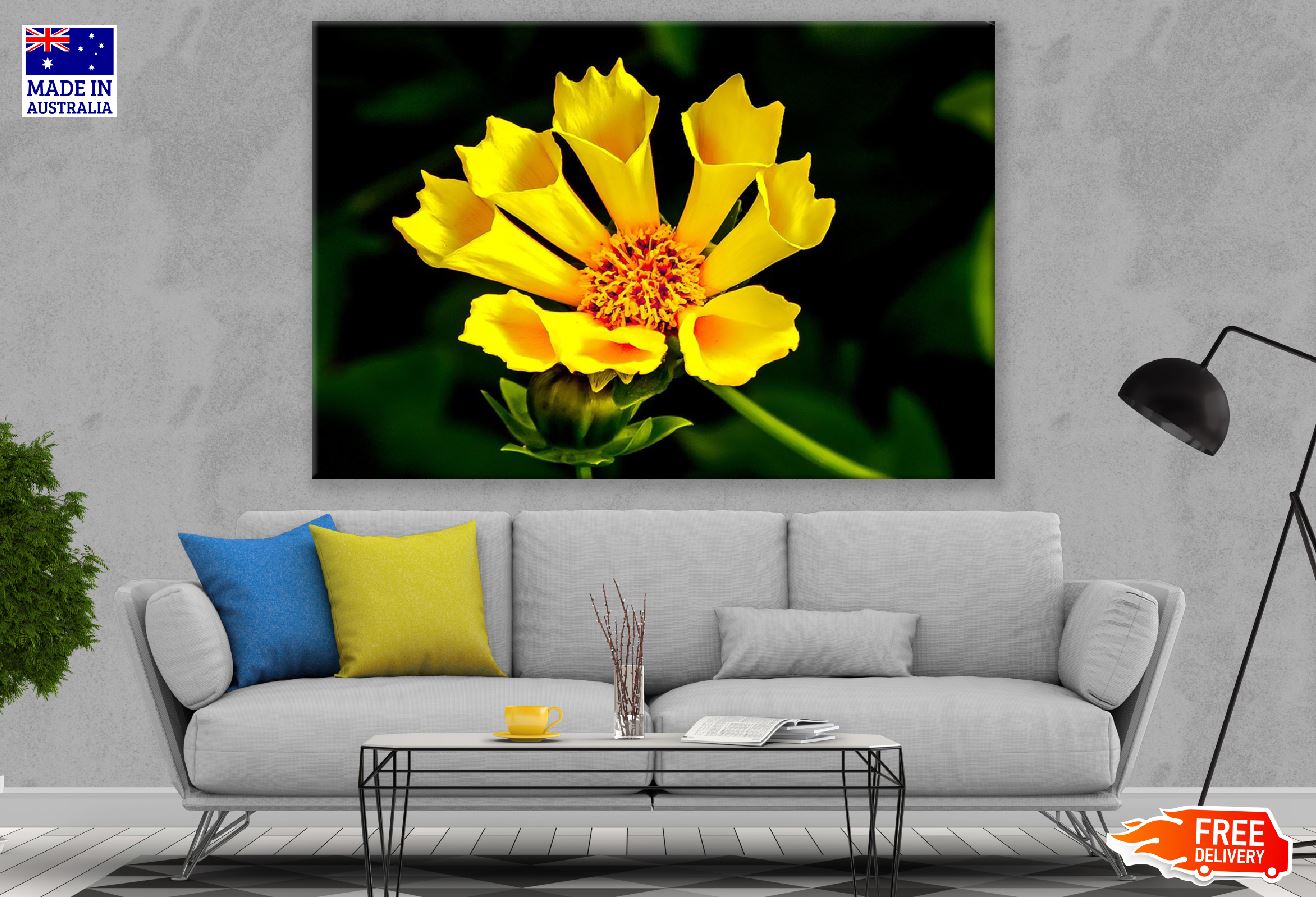 Yellow Flower Closeup Photograph Print 100% Australian Made