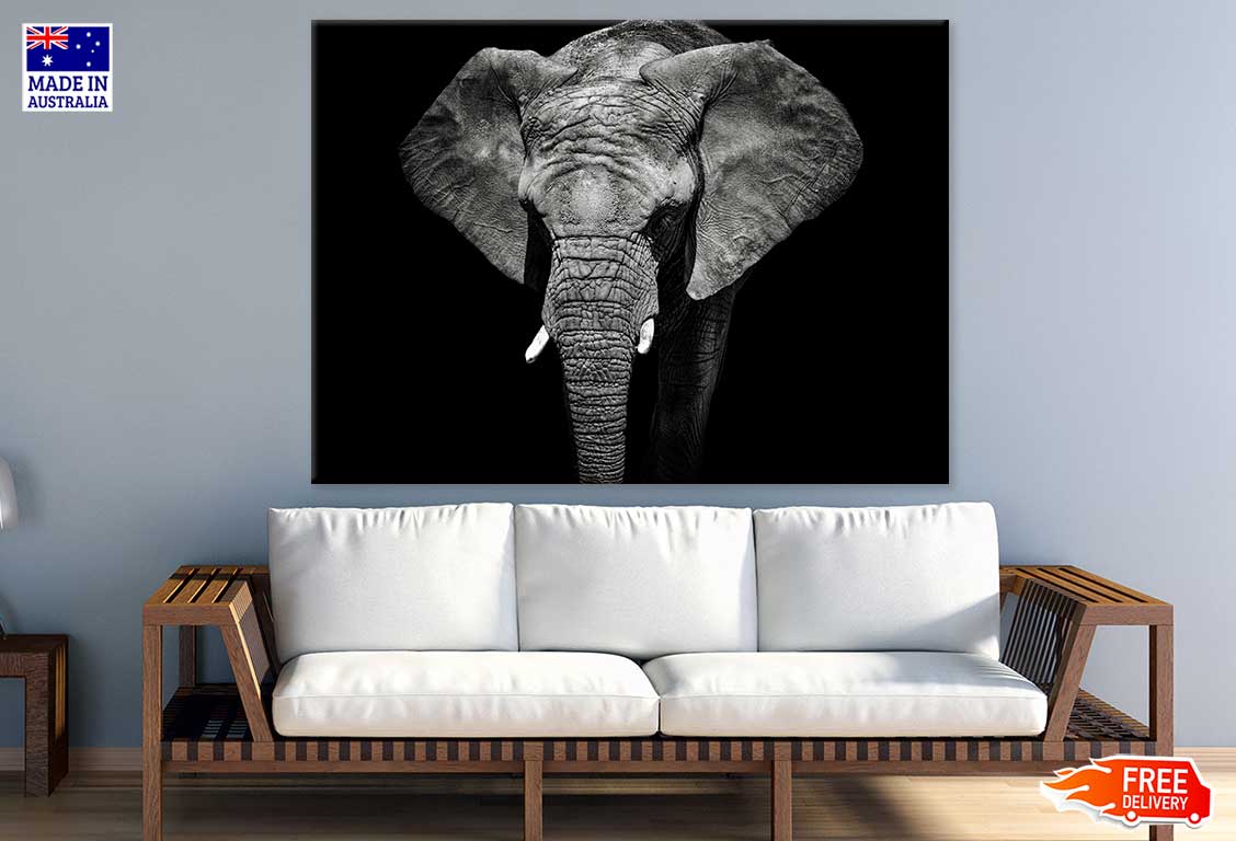 Elephant on Dark B&W Photograph Print 100% Australian Made