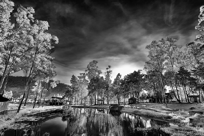 Trees & Lake Sky View B&W Photograph Print 100% Australian Made