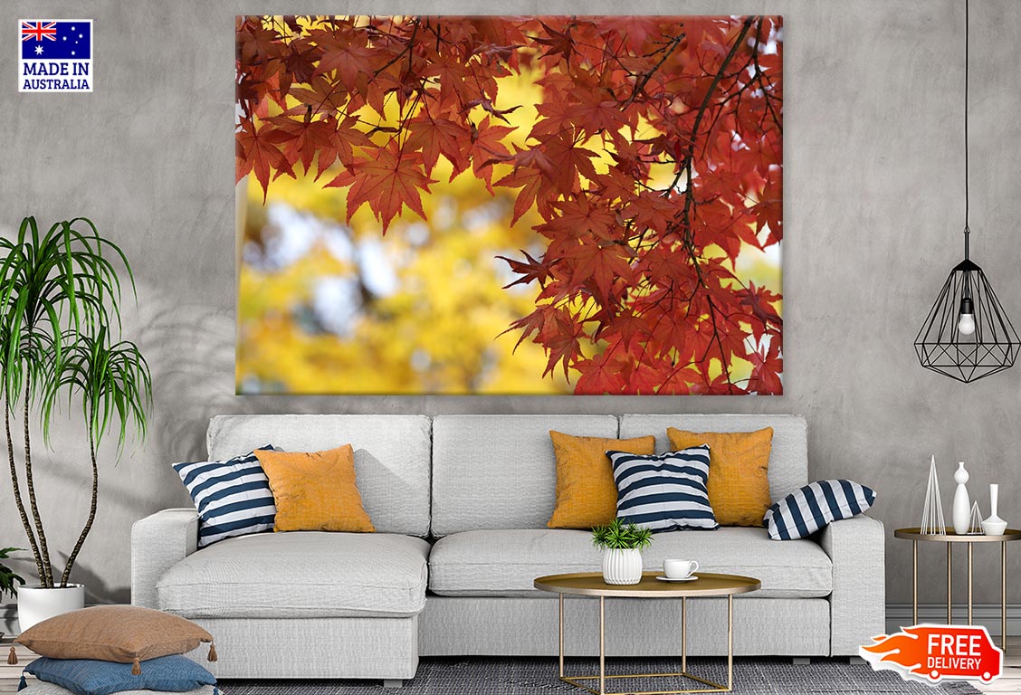 Orange Autumn Leaves Closeup Photograph Print 100% Australian Made