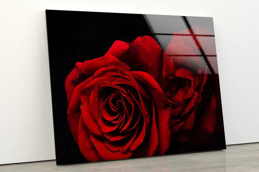 Red Rose Flower Photograph Acrylic Glass Print Tempered Glass Wall Art 100% Made in Australia Ready to Hang