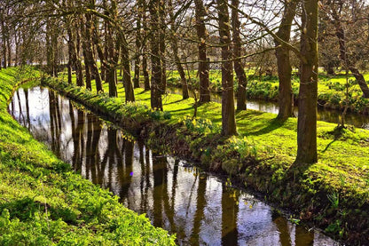 Trees Row Along Canal Photograph Print 100% Australian Made