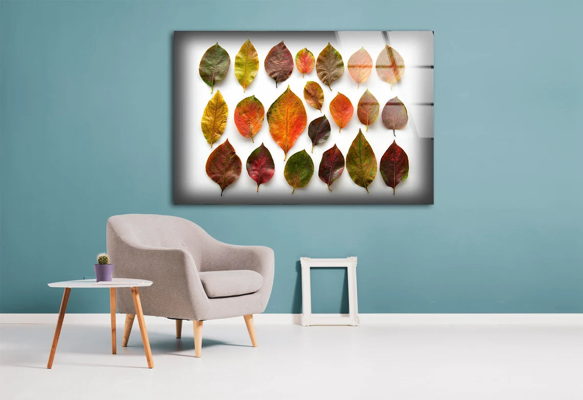 Colorful Leaves Photograph Acrylic Glass Print Tempered Glass Wall Art 100% Made in Australia Ready to Hang