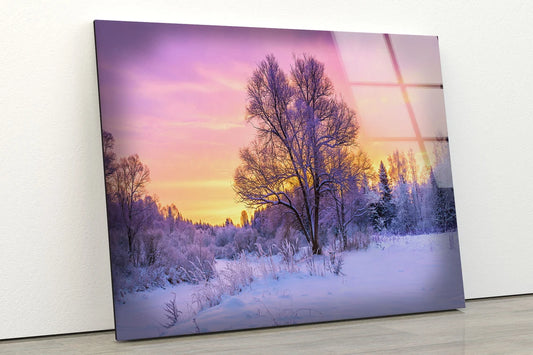 Snow Covered Trees Sunset Photograph Acrylic Glass Print Tempered Glass Wall Art 100% Made in Australia Ready to Hang