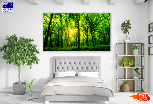 Green Forest Stunning Photograph Print 100% Australian Made