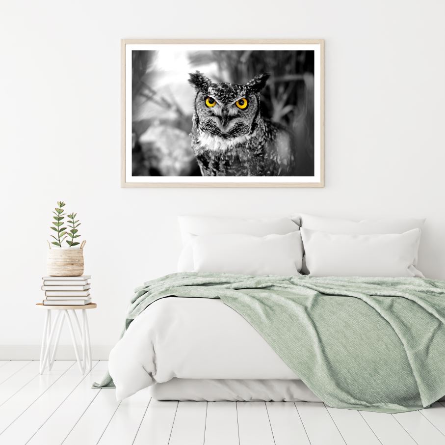 Owl Closeup B&W Photograph Home Decor Premium Quality Poster Print Choose Your Sizes