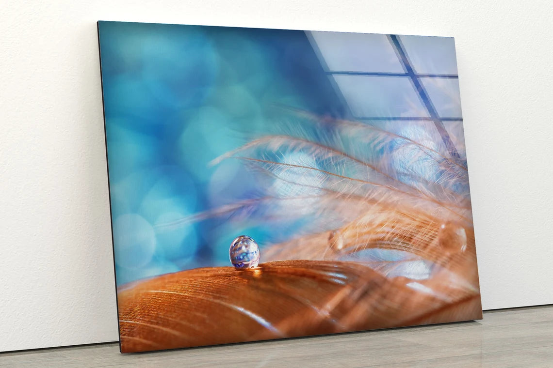 Waterdrops on Feathers Photograph Acrylic Glass Print Tempered Glass Wall Art 100% Made in Australia Ready to Hang