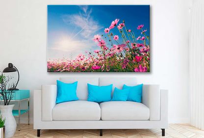 Bella Home Cosmos Filed & Sunset on Garden Print Canvas Ready to hang