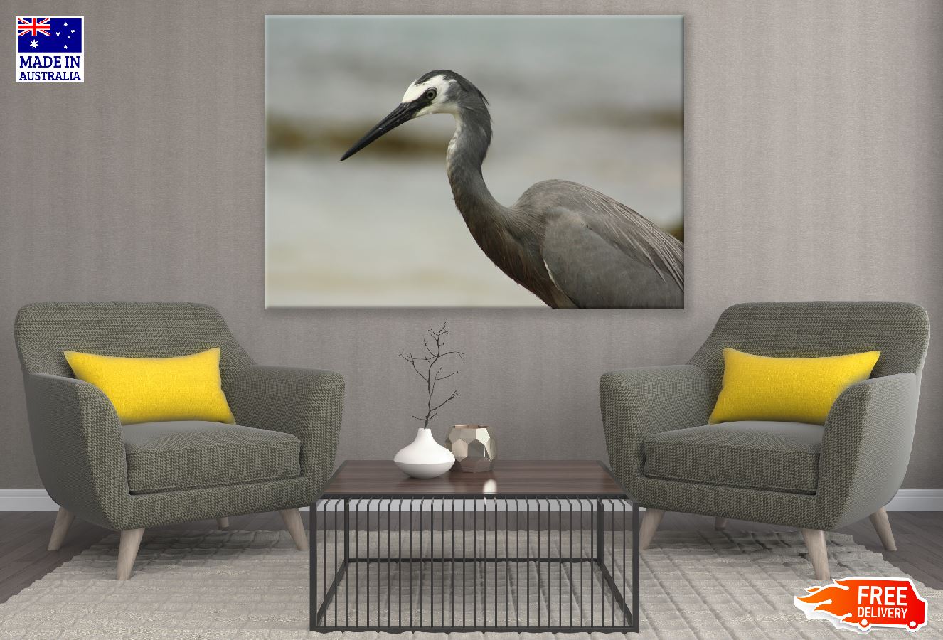 White Faced Heron Closeup Photograph Print 100% Australian Made