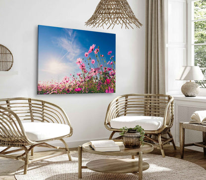 Bella Home Cosmos Filed & Sunset on Garden Print Canvas Ready to hang