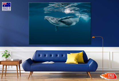 Blue Whale in Ocean Photograph Print 100% Australian Made