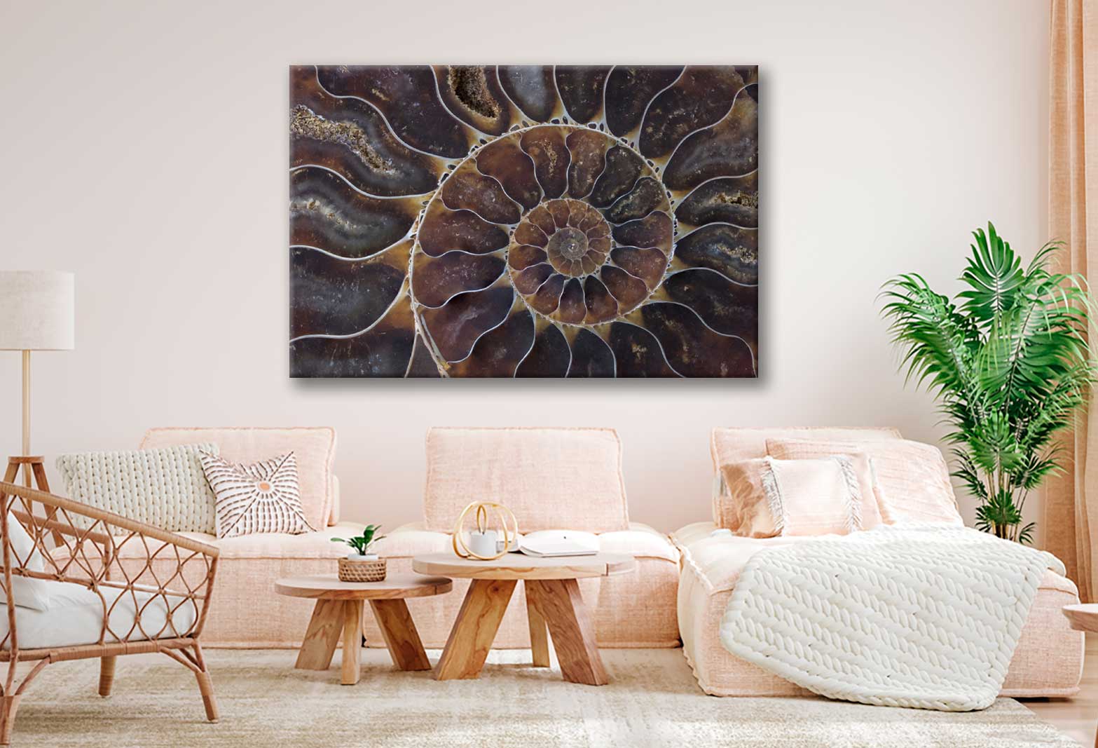 Bella Home Fossil Shell Macro Texture Art Design Print Canvas Ready to hang