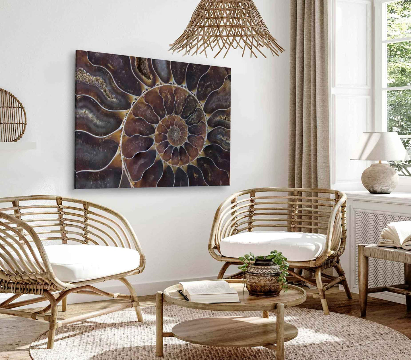 Bella Home Fossil Shell Macro Texture Art Design Print Canvas Ready to hang