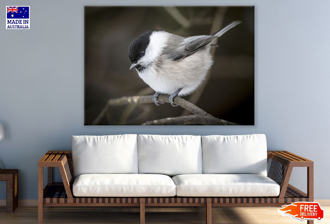 Willow Tit Bird on Tree Branch Closeup Photograph Print 100% Australian Made