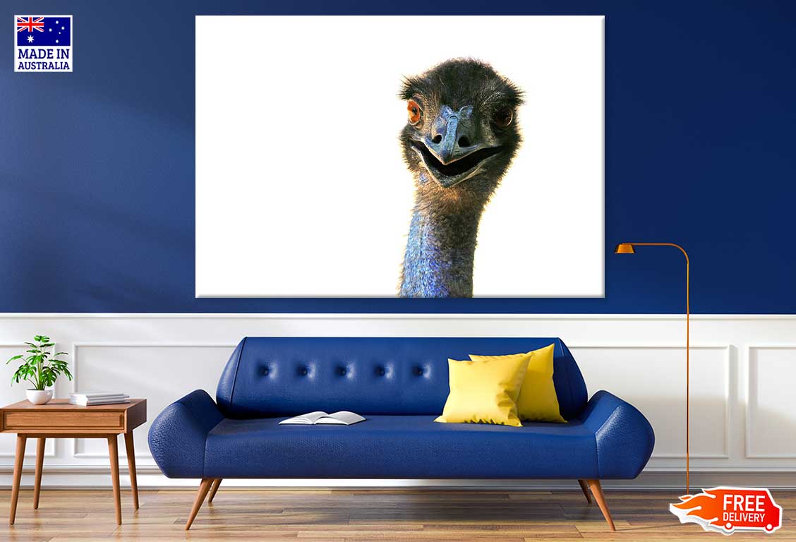 Ostrich Face Closeup Photograph Print 100% Australian Made