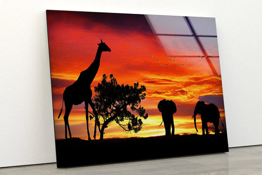 Giraffe & Elephants Sunset Design Acrylic Glass Print Tempered Glass Wall Art 100% Made in Australia Ready to Hang