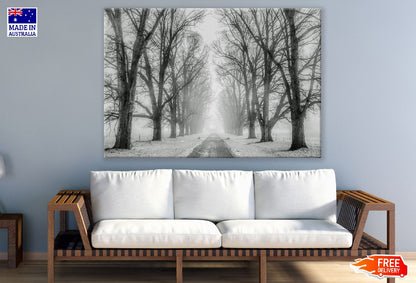 Road with Snow Covered Trees Photograph Print 100% Australian Made