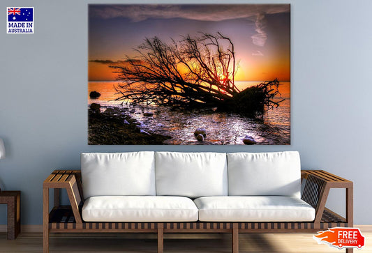 Dead Tree on Sea Sunset Photograph Print 100% Australian Made