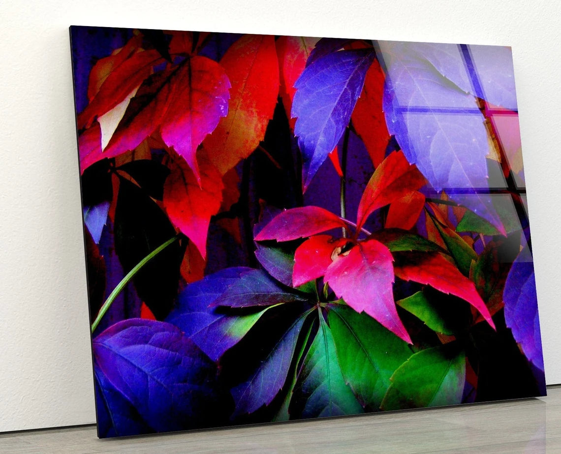 Pink Blue & Green Leaves Photograph Acrylic Glass Print Tempered Glass Wall Art 100% Made in Australia Ready to Hang