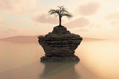 Tree on Rock With Lake Photograph Print 100% Australian Made