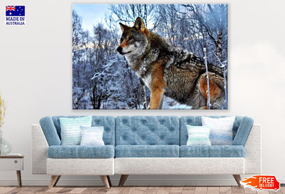 Wolf in Snow Forest Photograph Print 100% Australian Made