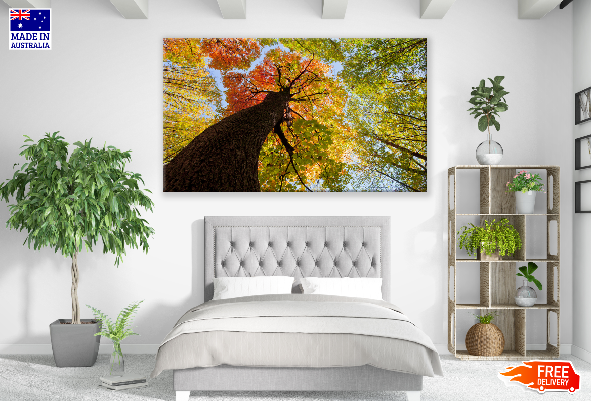 Tree with Colourful Leaves Print 100% Australian Made