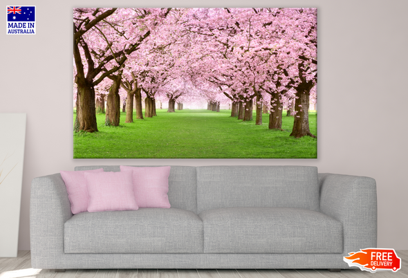 Road Between Pink Flowered Tree Raws Print 100% Australian Made