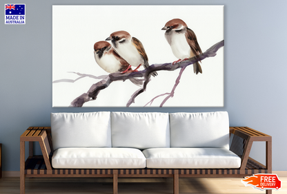 Small Birds Sitting On a Branch Painting Print 100% Australian Made